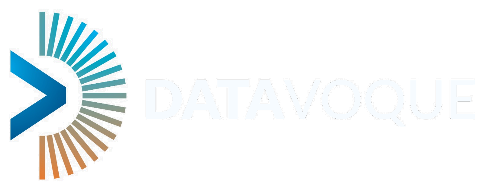 Datavoque